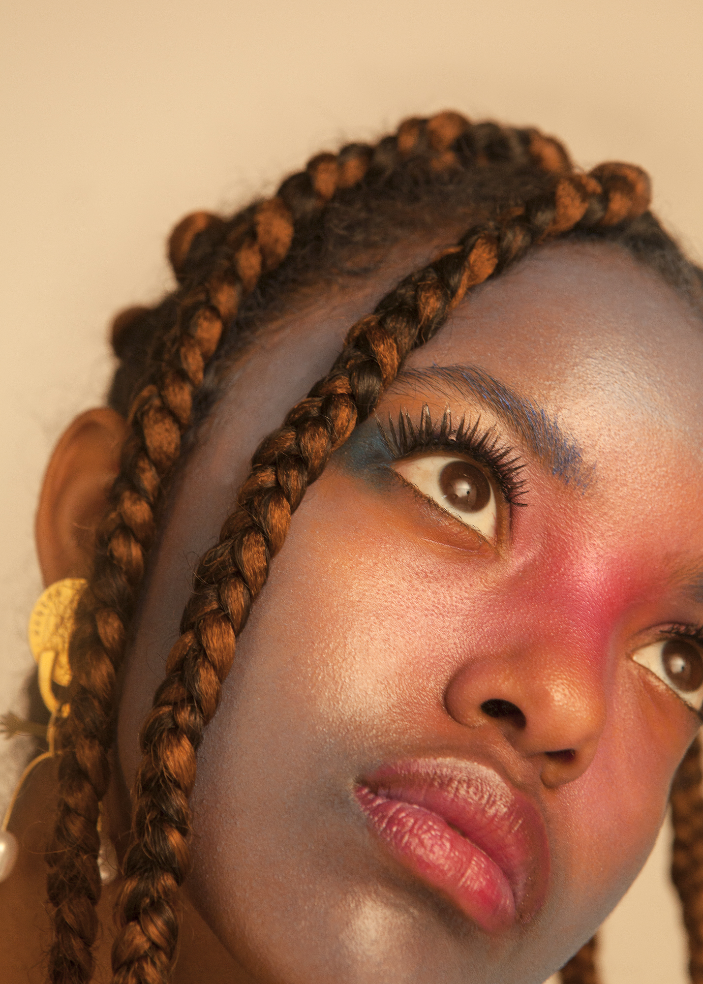Some velvet morning beauty editorial - braids