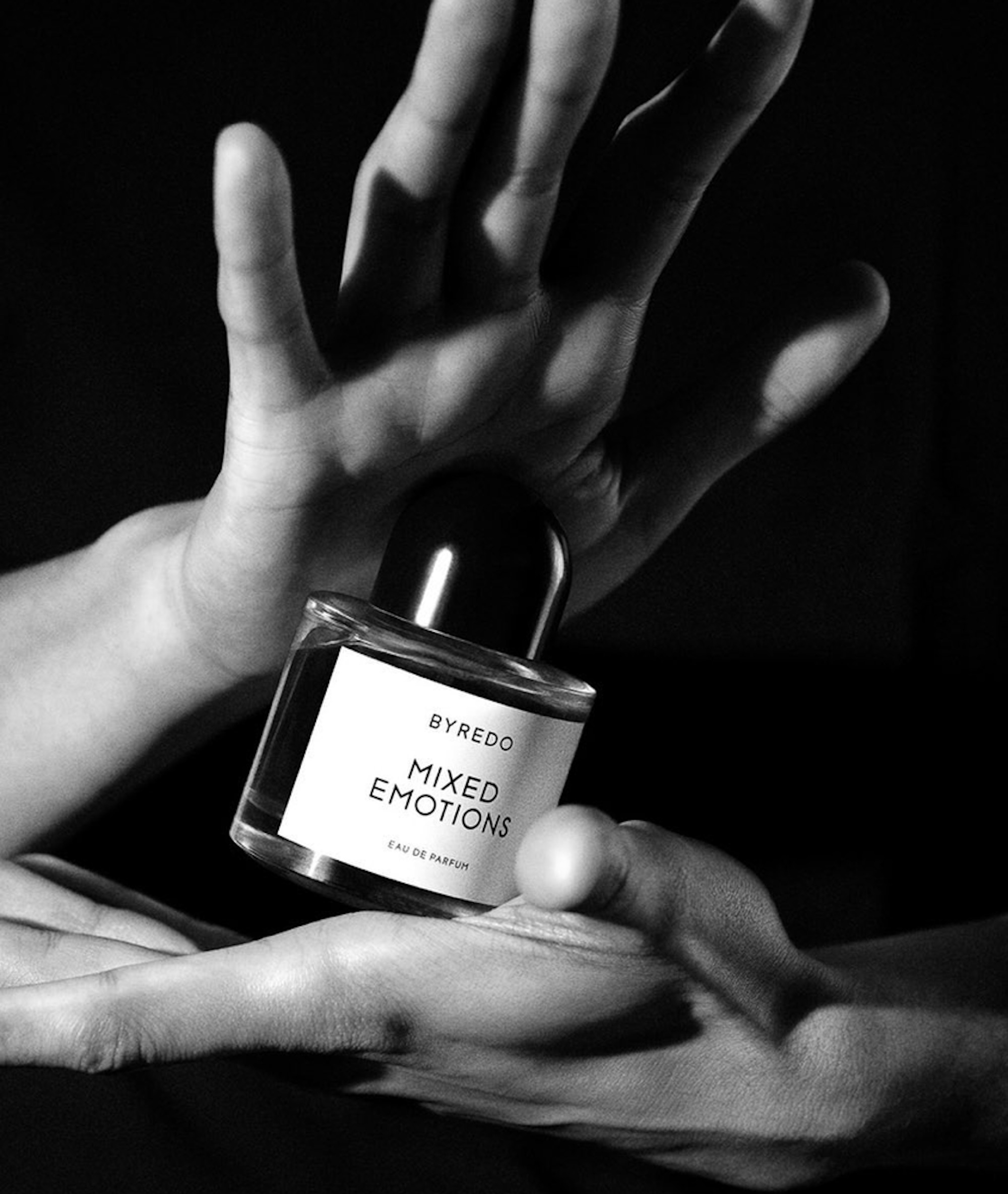 Wonderland Loves Bailey Perfume