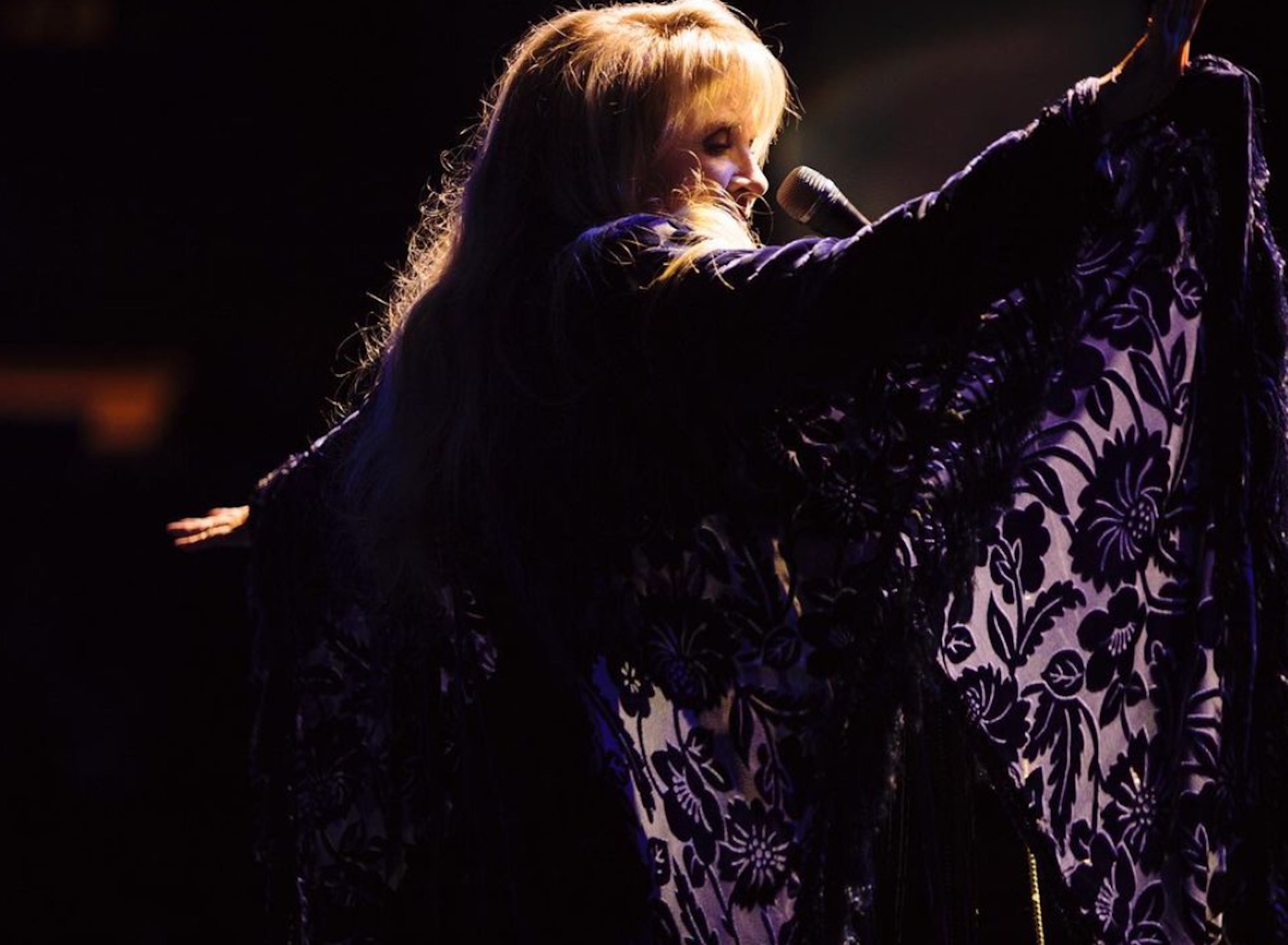 Wonderland Loves Stevie Nicks