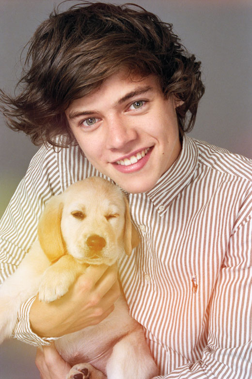 harry styles puppy eyes