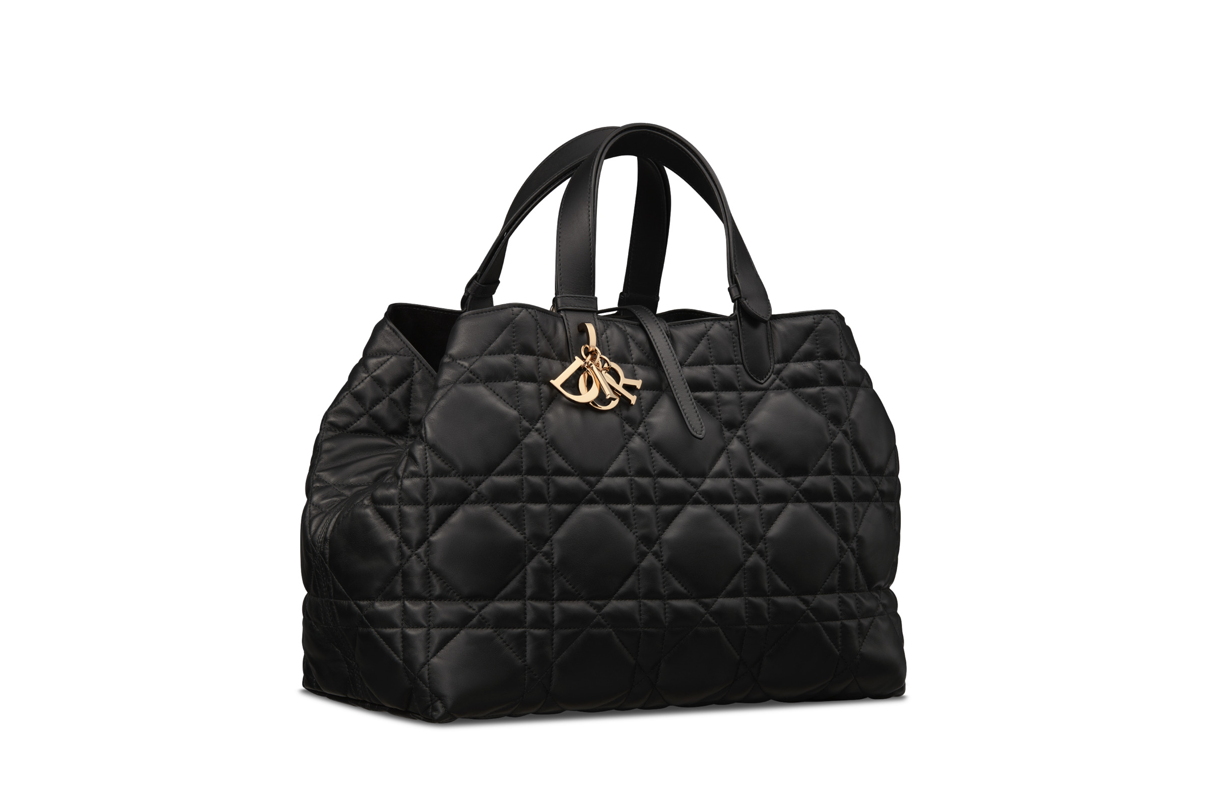 DIOR TOUJOURS ミディアム バッグ RR2762 Dior Toujours バッグ ミディアム レディース | DIOR | 24S