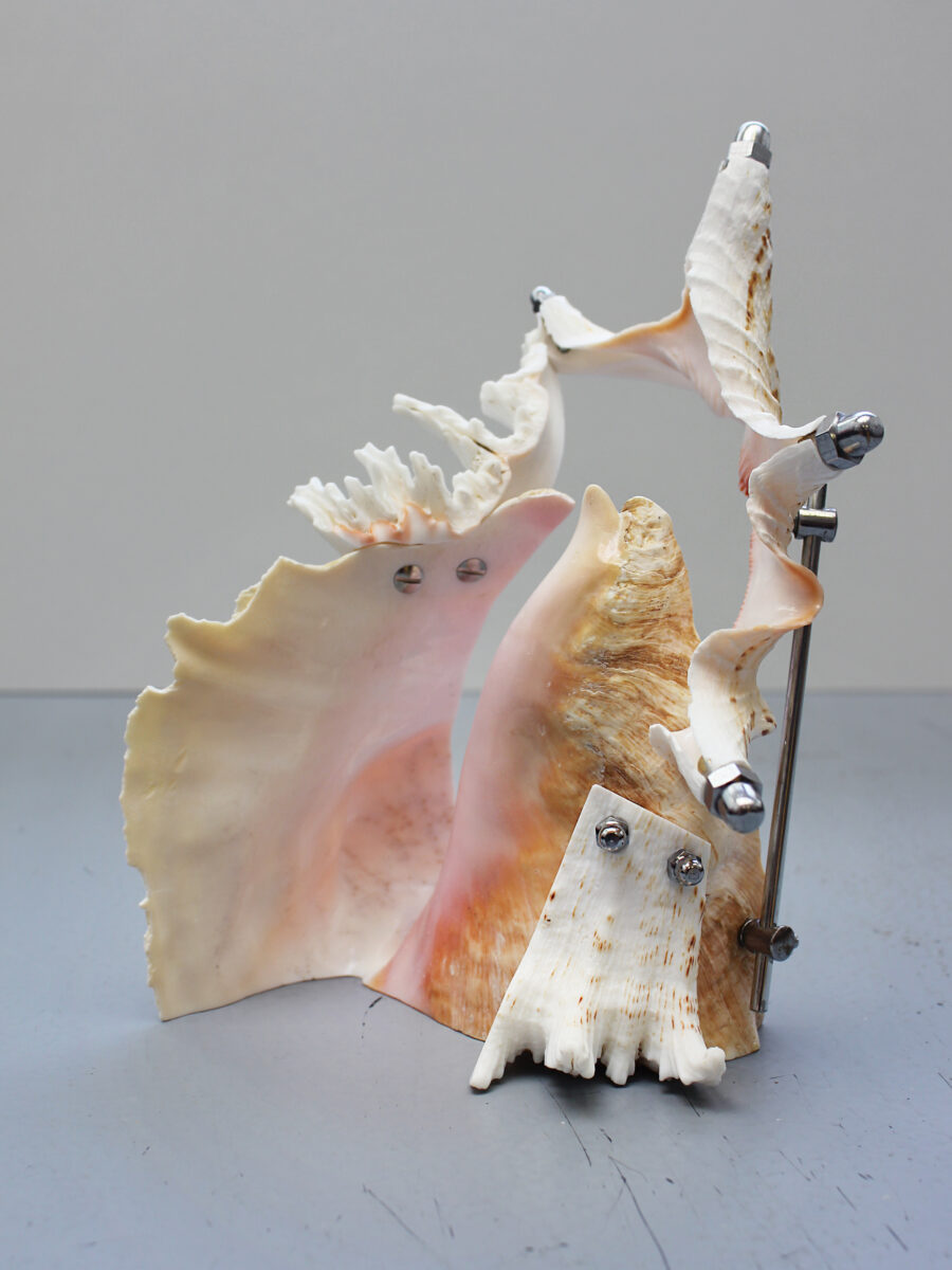 Lights On: Corrina Goutos
