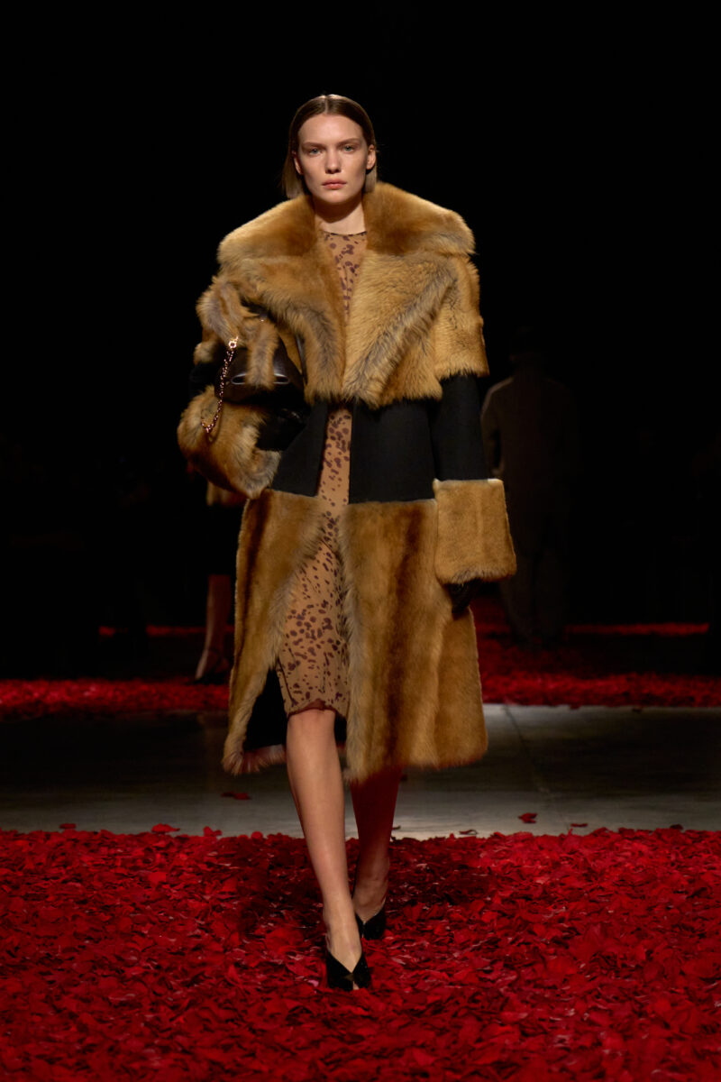 Milan Fashion Week:  Everything You Need To Know