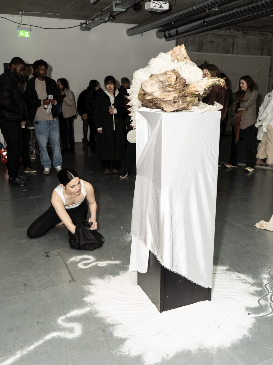 Exhibition Review: EIDOS:  The Flow of Form, the Edge of Perception