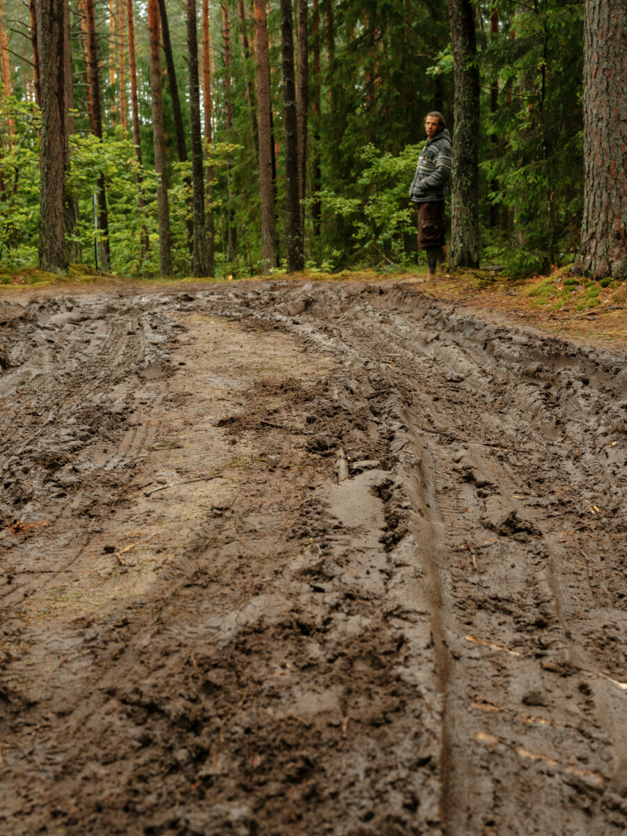Trance, Trees and Getting Transcendental:  A Trip to Yaga Gathering