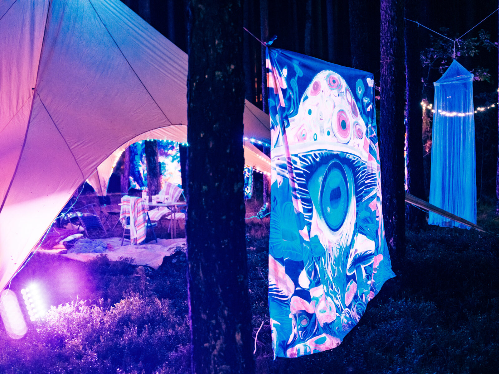 Trance, Trees and Getting Transcendental:  A Trip to Yaga Gathering