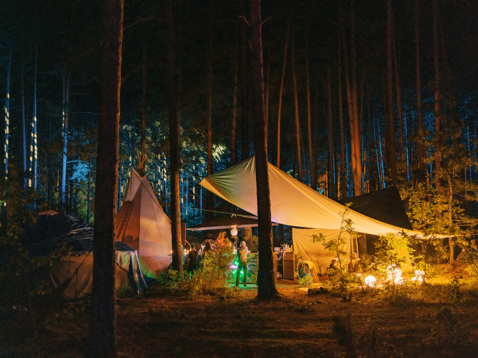 Trance, Trees and Getting Transcendental:  A Trip to Yaga Gathering