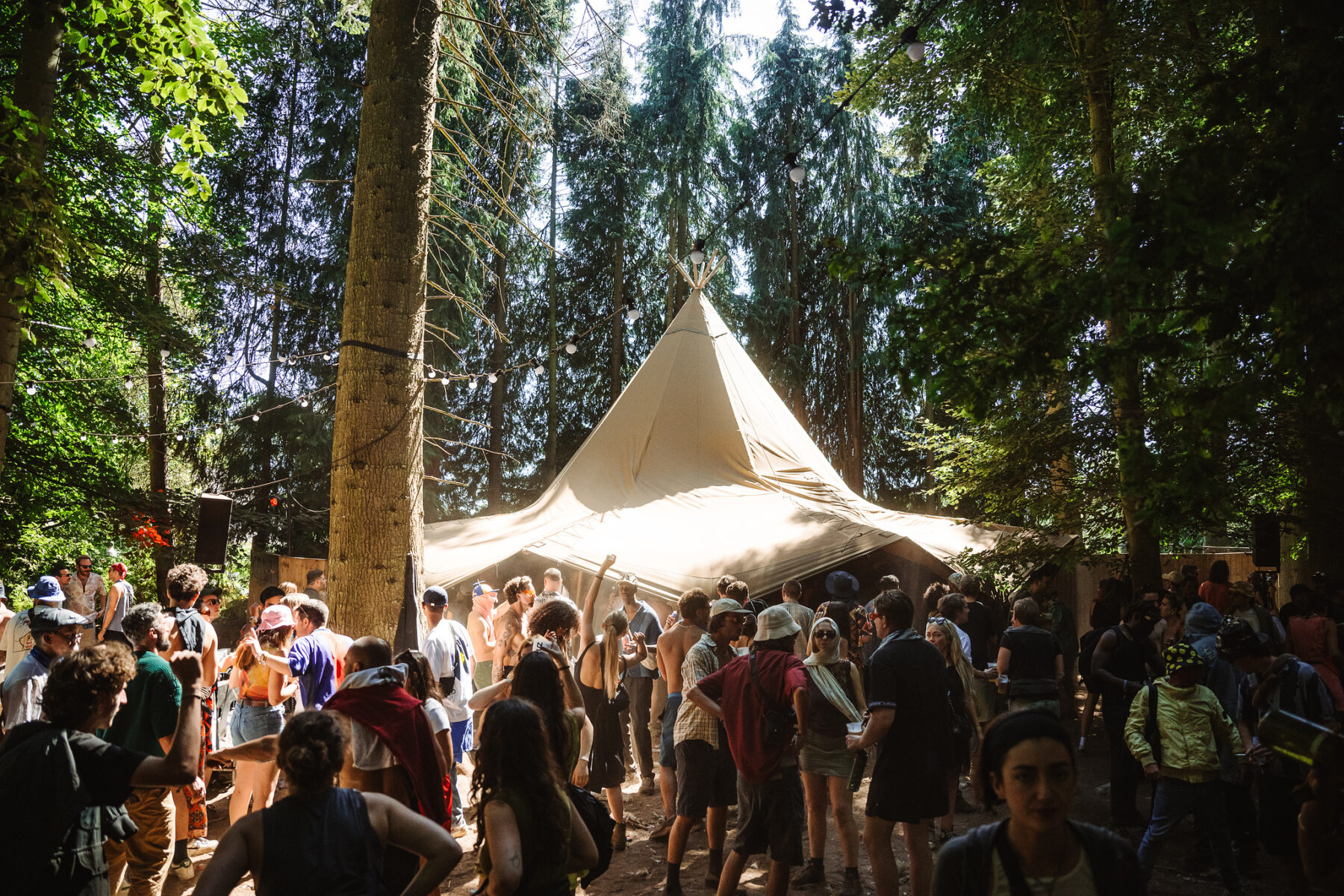Lasers, Techno and Sound Baths:  A Trip to Houghton Festival