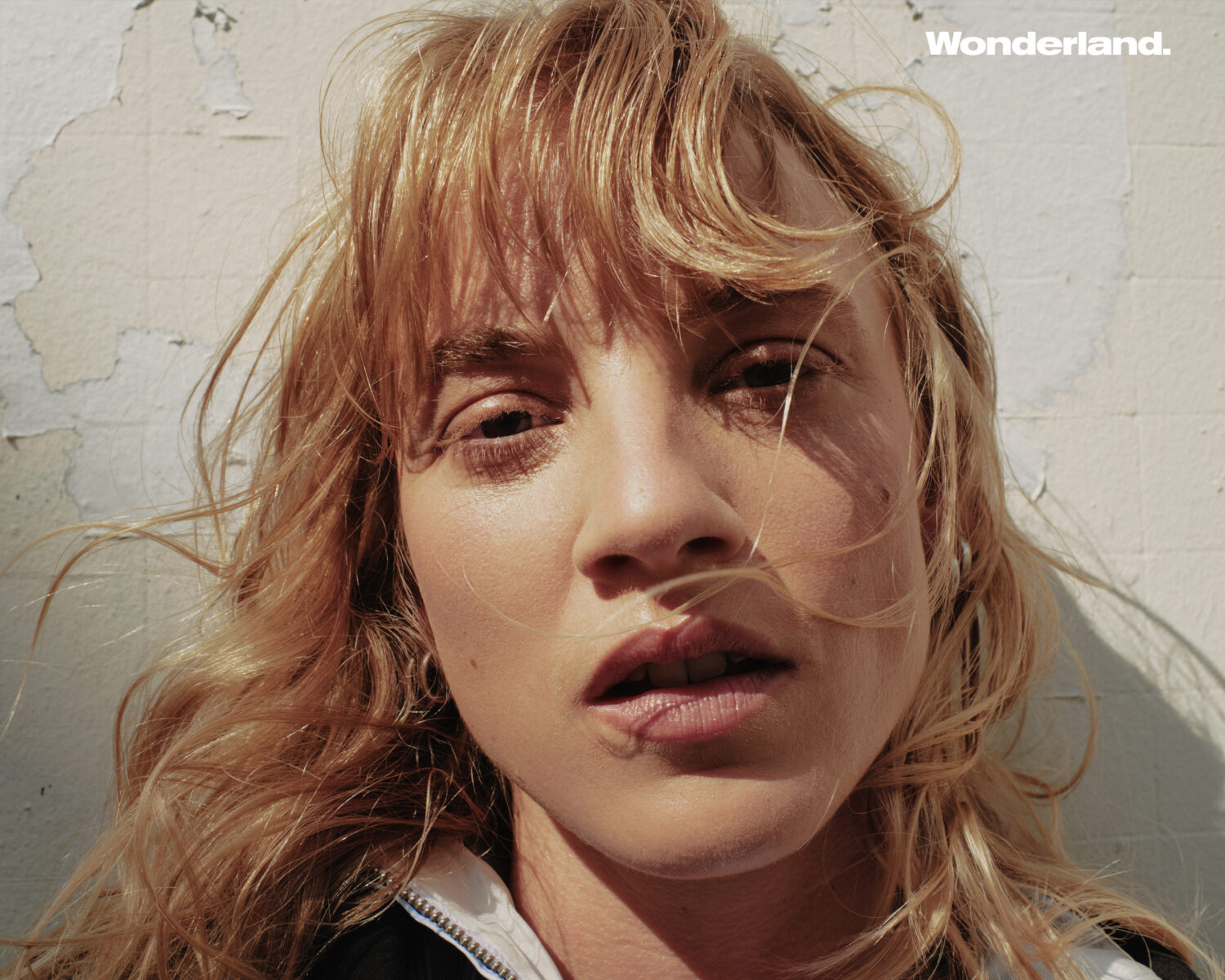 Megan Northam Talks Urchin