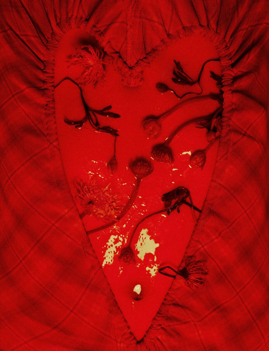 The Spirit of Flowers