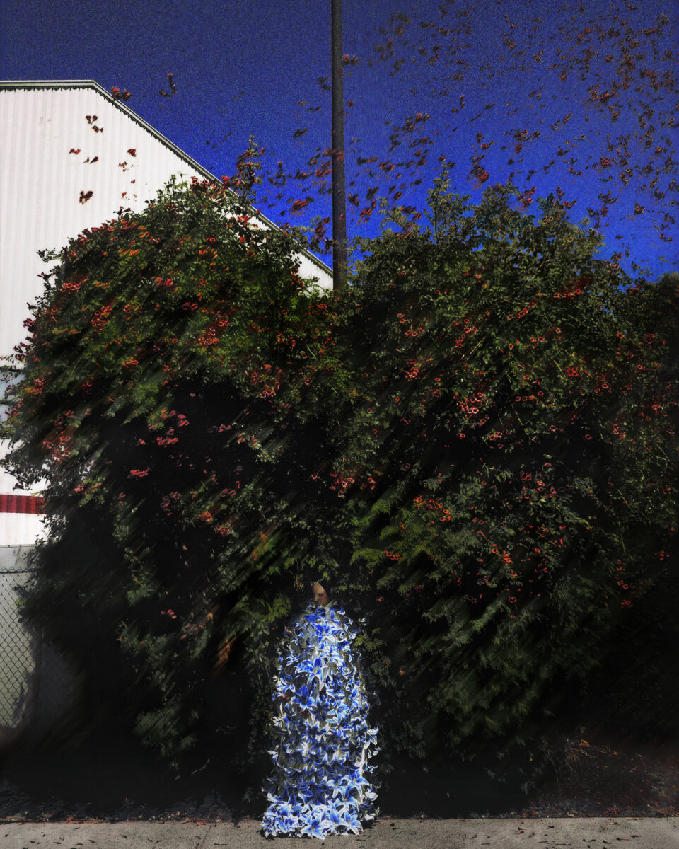 The Spirit of Flowers