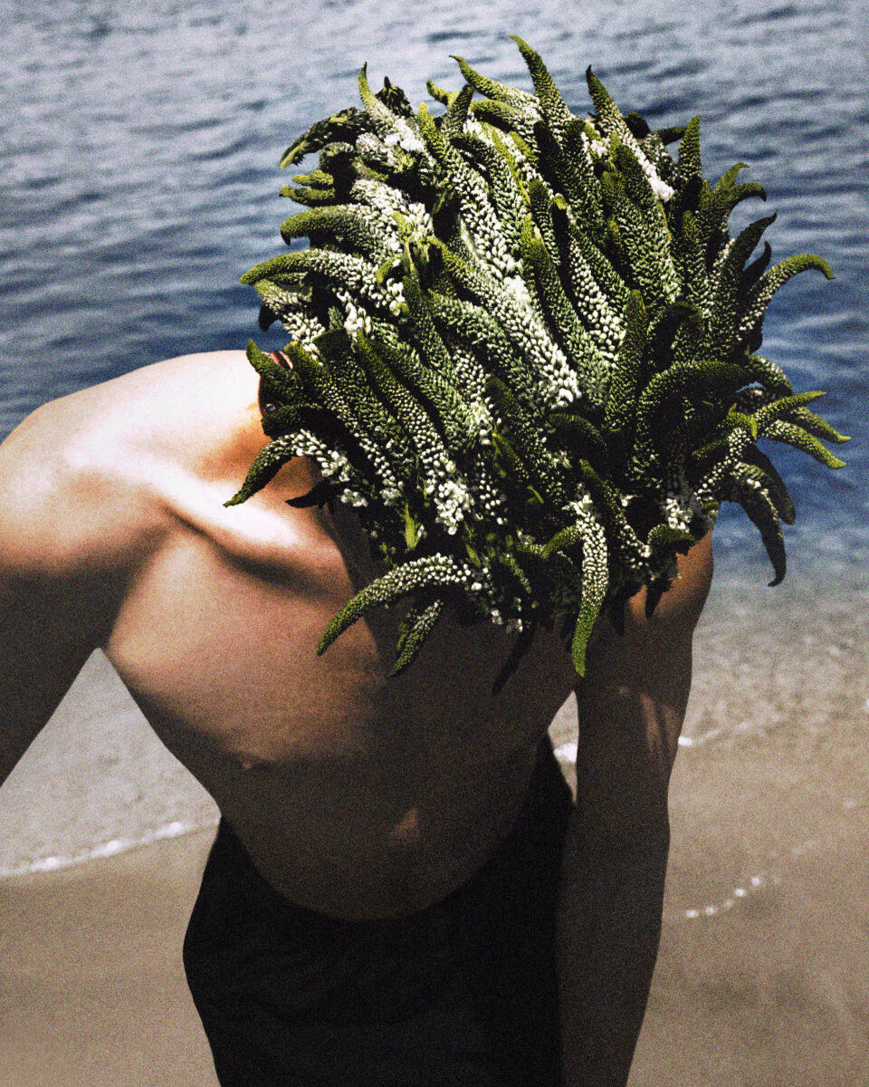 The Spirit of Flowers