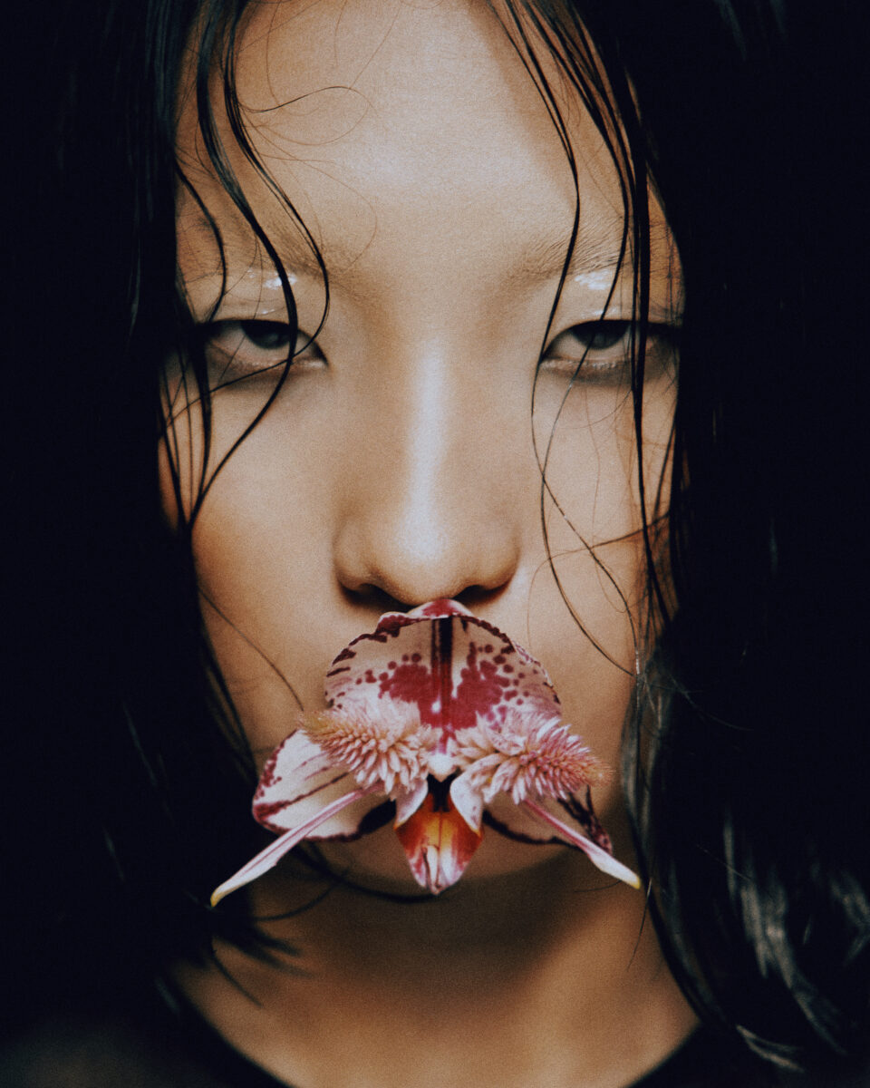 The Spirit of Flowers