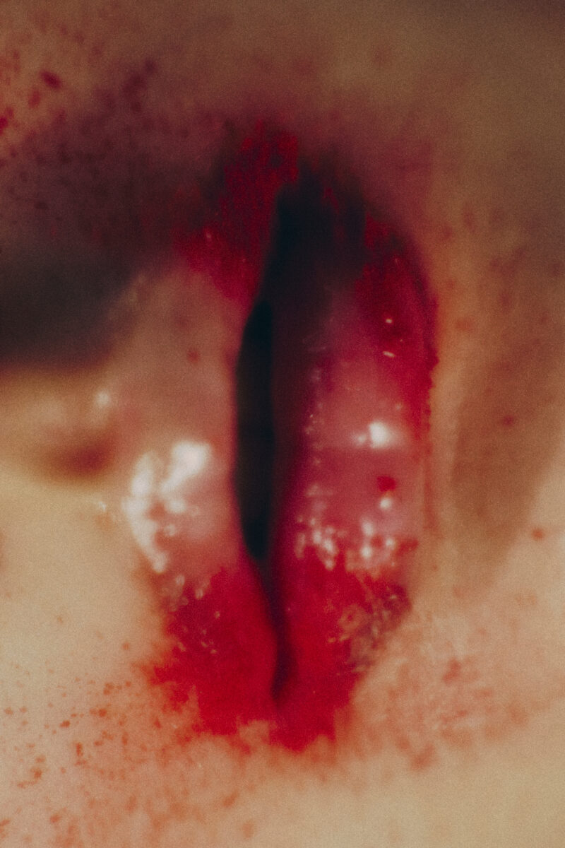 The Spirit of Flowers