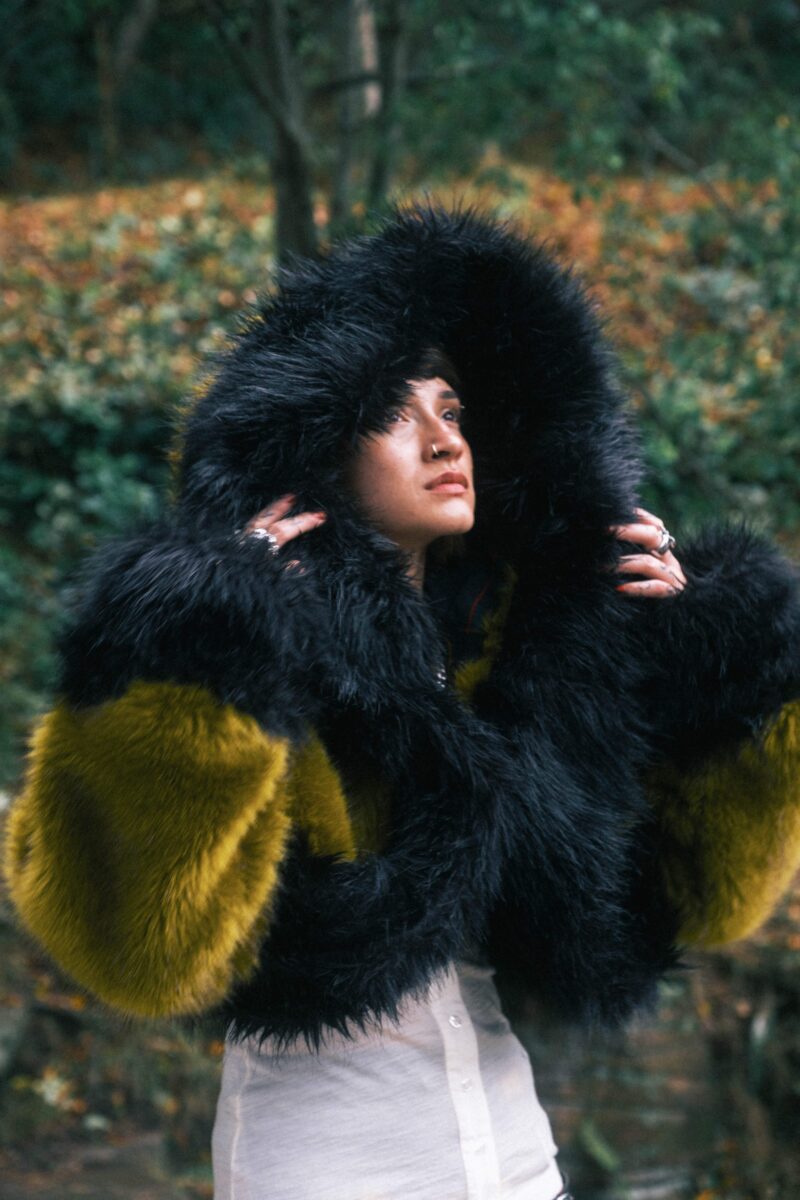 Wonders to Watch 2026