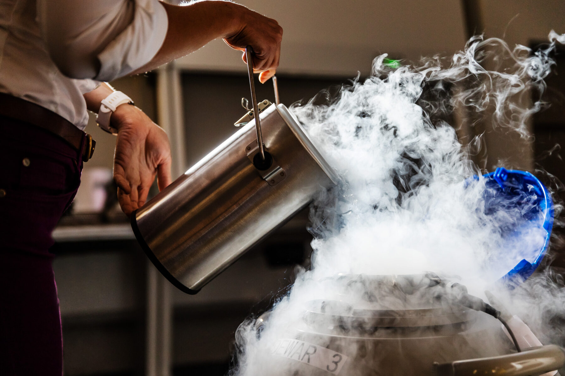 バーキン、保険ポリシー、コントロール恐怖症:卵凍結について学んだ26のこと