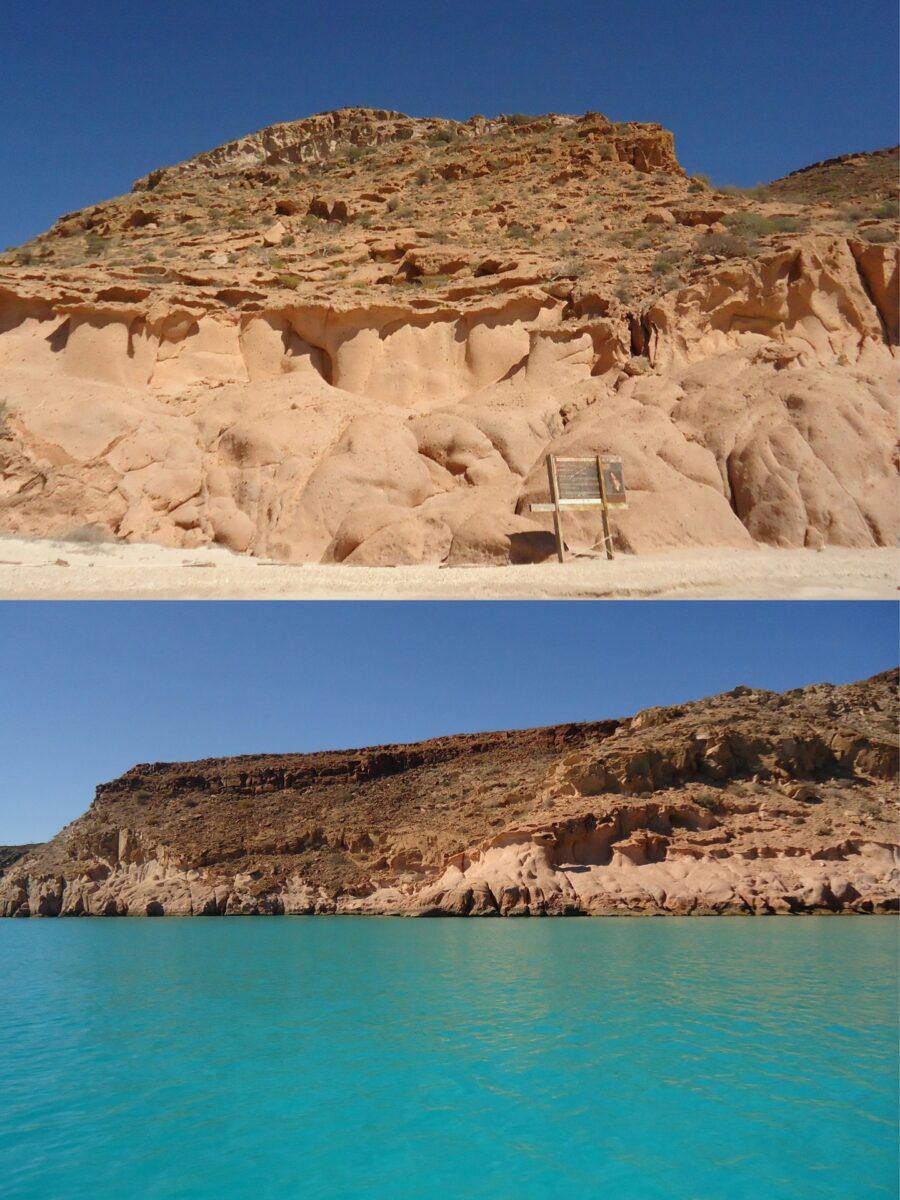 カボはあなたが想像するすべてです