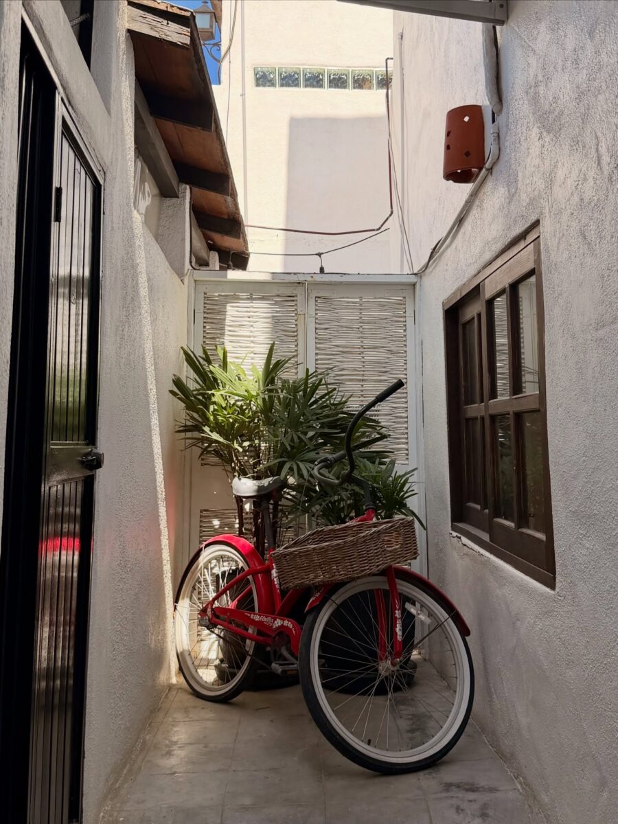 カボ



</p>

<div style=