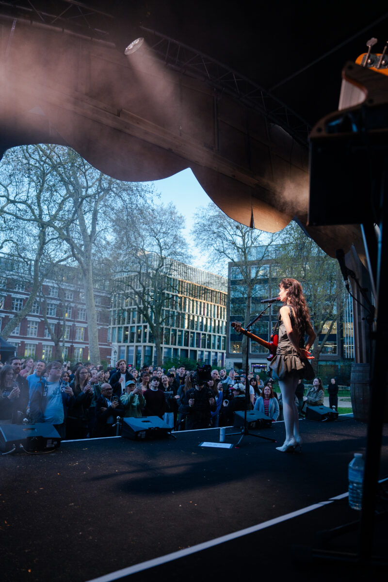 Down The Rabbit Hole and Into Holly’s Fairytale