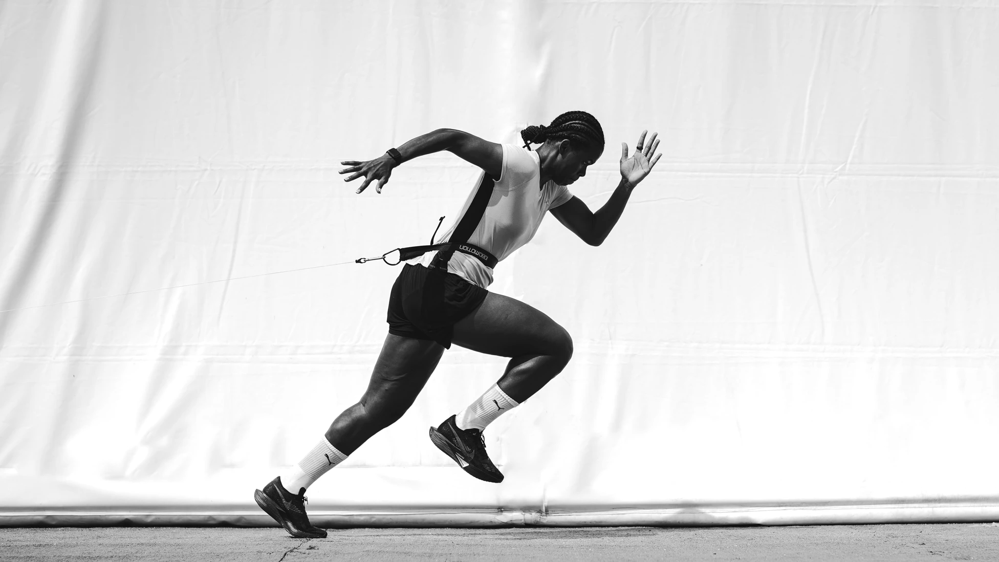 Bunny’s Got The Midas Touch