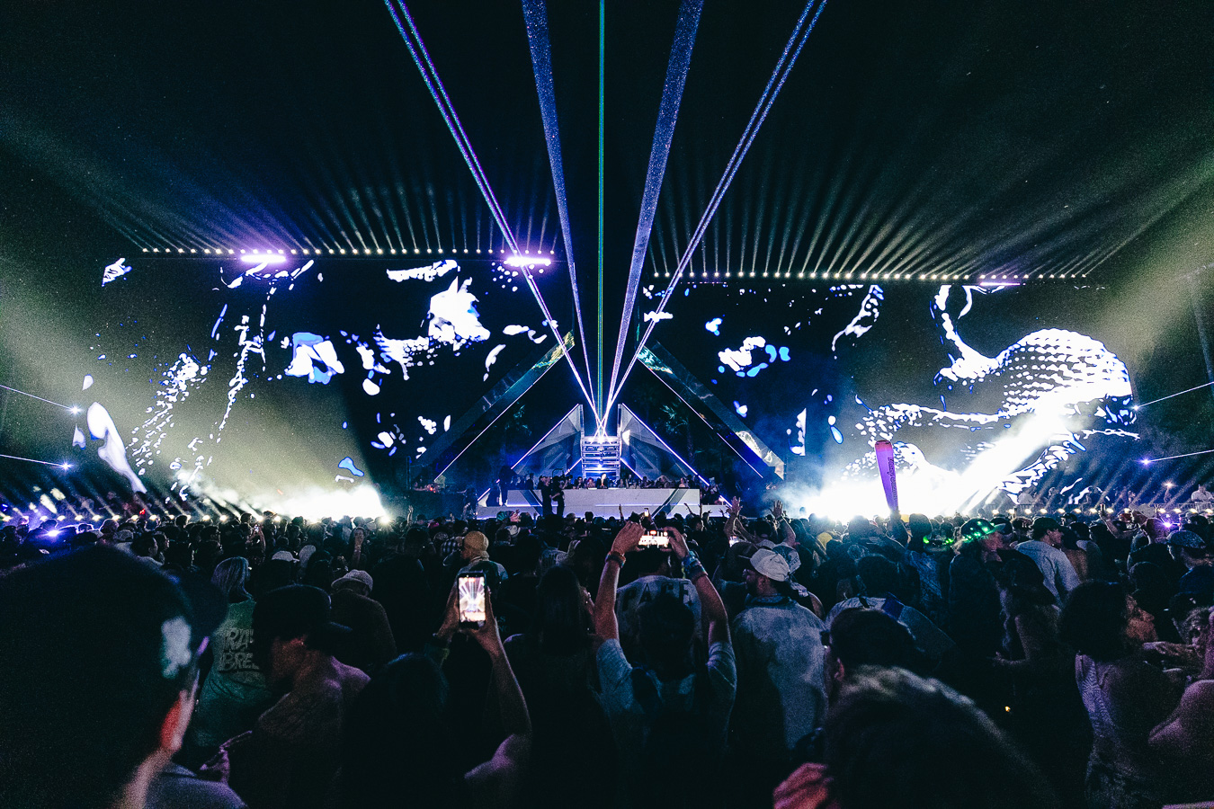 SARA LANDRY’S COACHELLA PHOTO DIARY