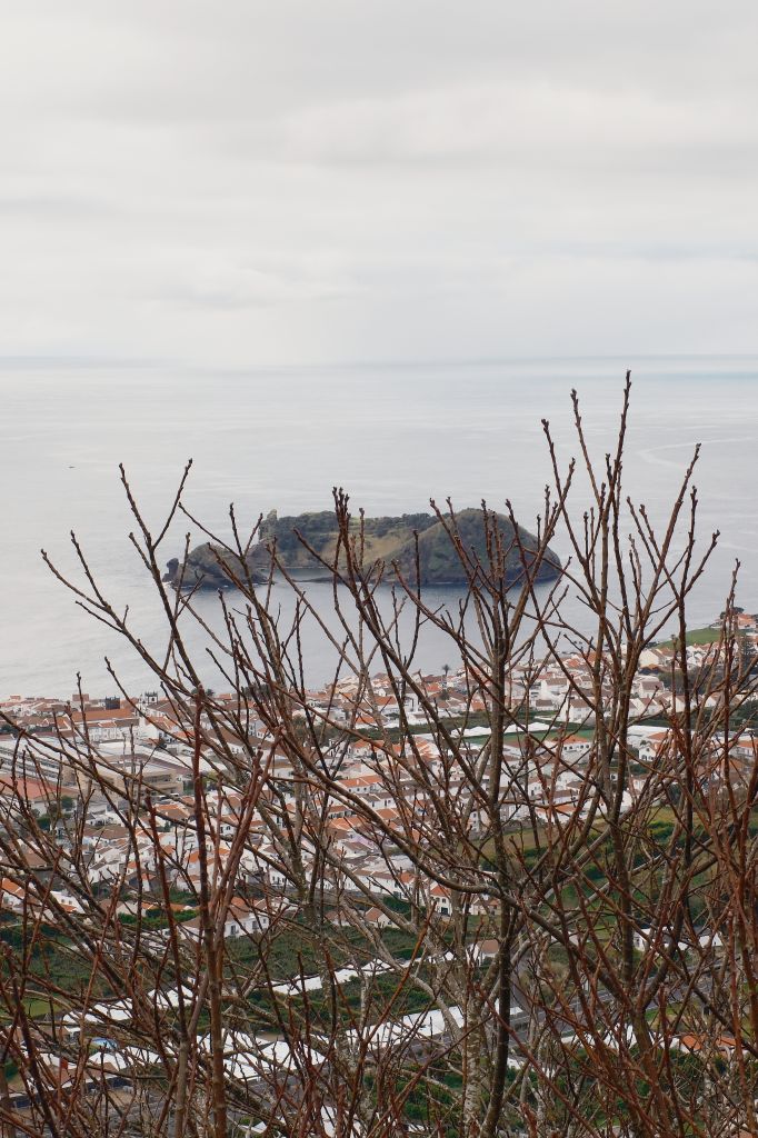 Finding Community in the Middle of the Ocean:  A Trip to the Azores
