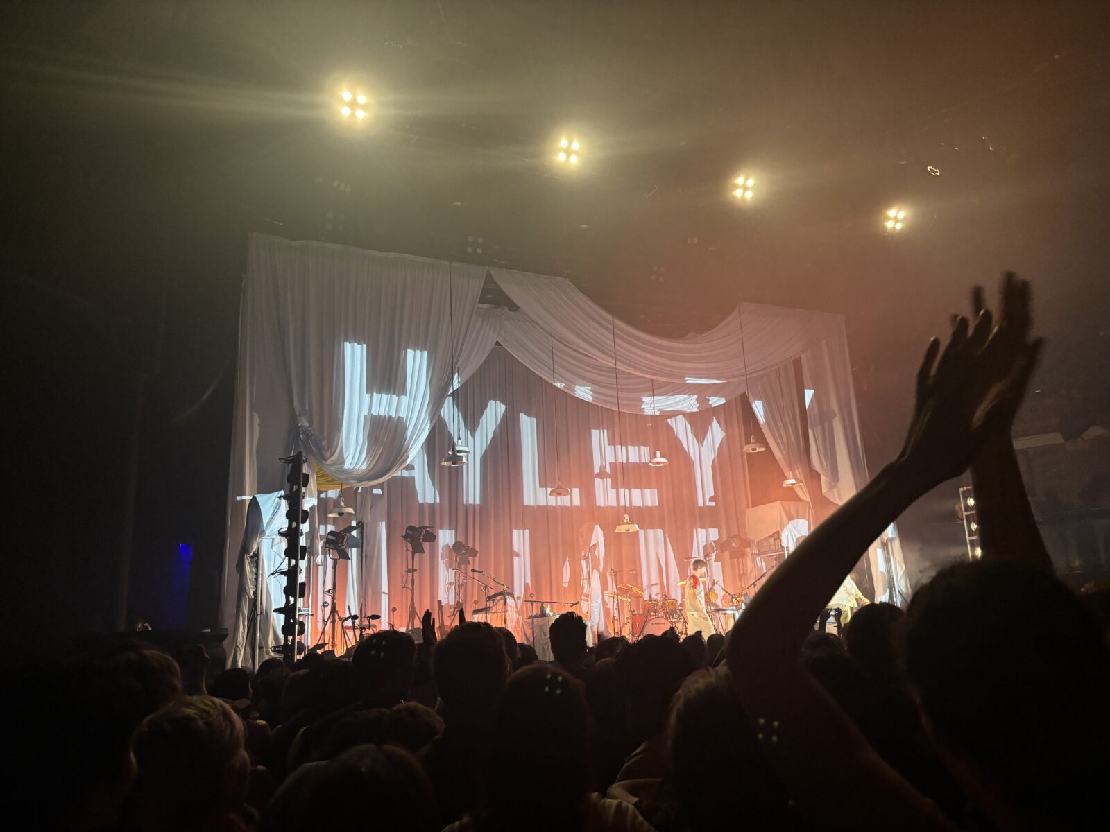 At A Hayley Williams Concert, We&rsquo;re All In The Band