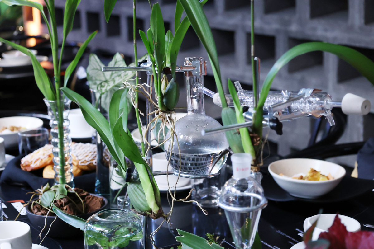 Aromas, Anthems and Arenas:  A Trip To Mexico City
